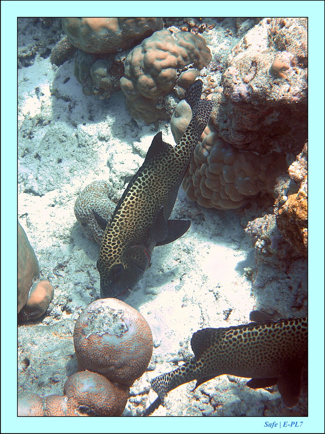 2023 - 07 - Sandies Bathala - 175